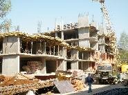    2010 