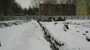    2009 