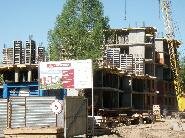    2010 