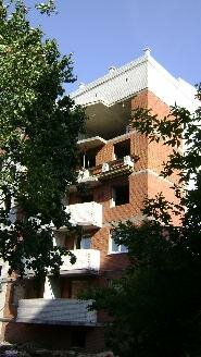    2010 