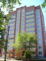    2009 
